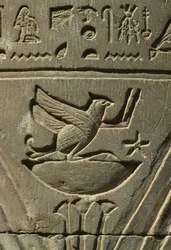 Detail eines Reliefs, Hieroglyphen